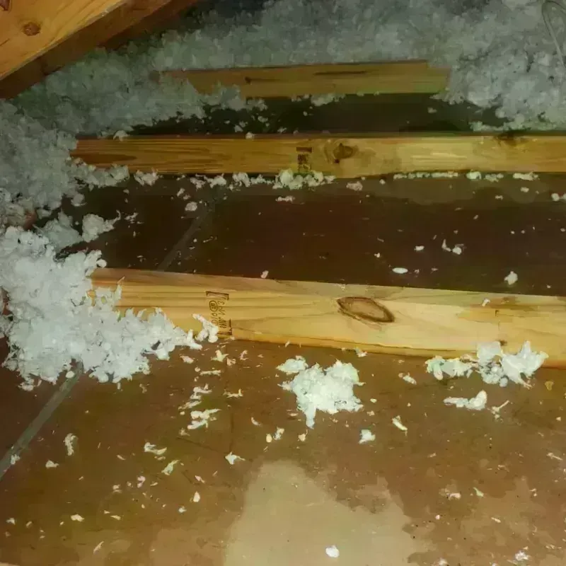 Attic Water Damage in Socorro, NM