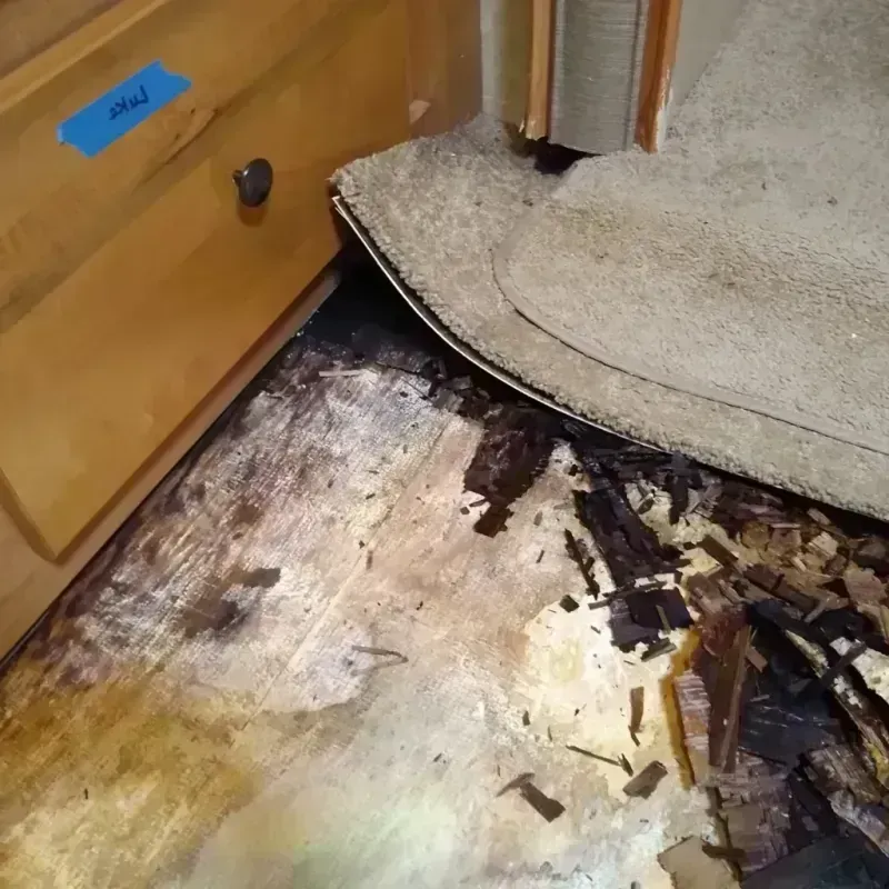 Best Wood Floor Water Damage Service in Socorro, NM